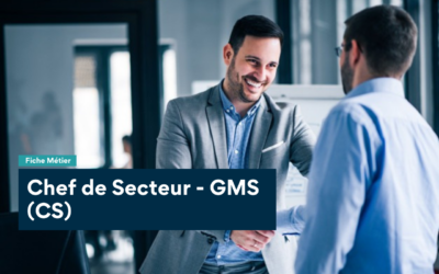 Fiche Métier : Chef de Secteur GMS